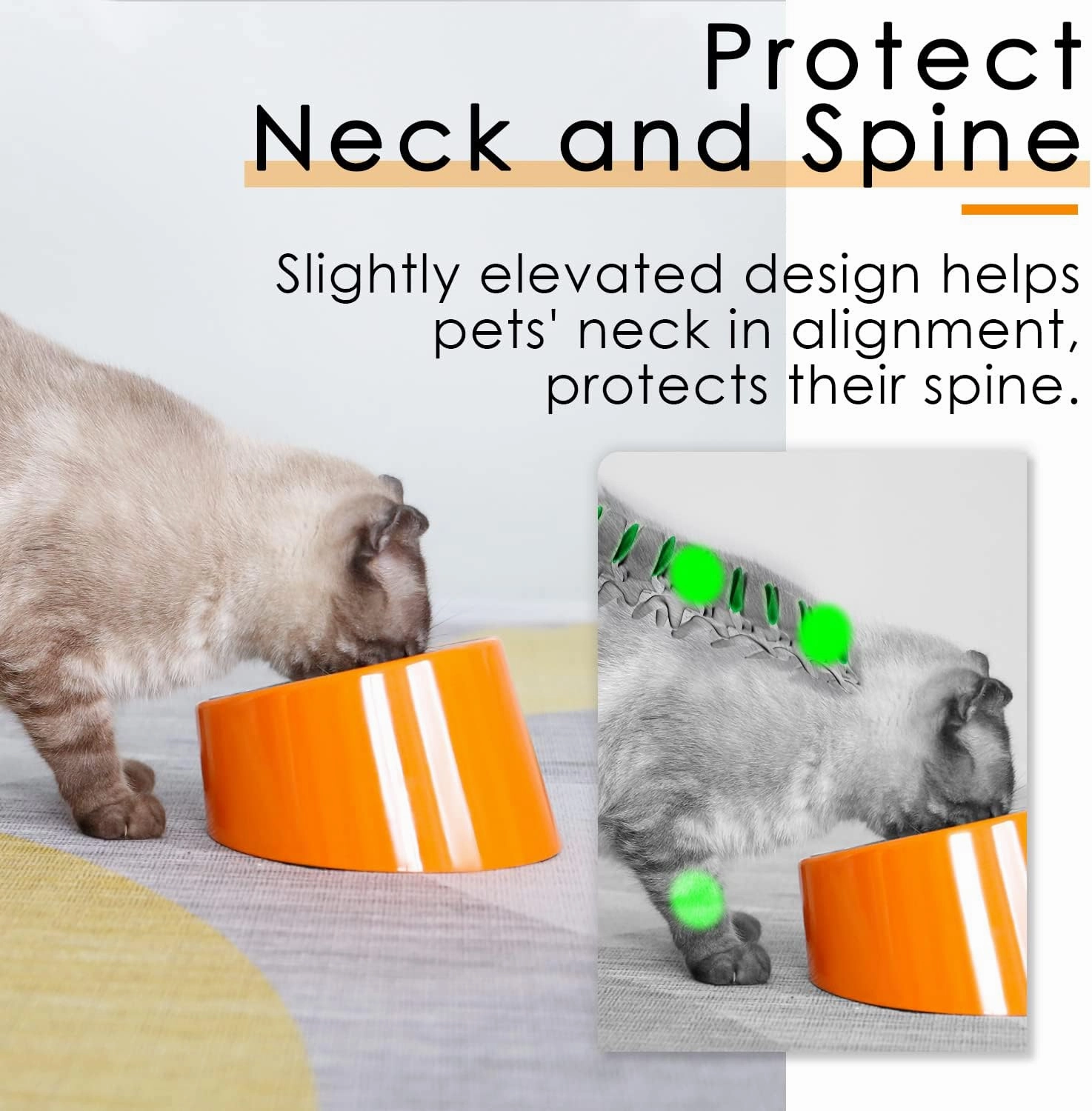 SuperDesign Mess Free 15° Slanted Bowl for Dogs and Cats, Tilted Angle Bulldog Bowl Dog Feeder, Non-Skid & Non-Spill, Easier to Reach Food S/0.5 Cup Bright Orange