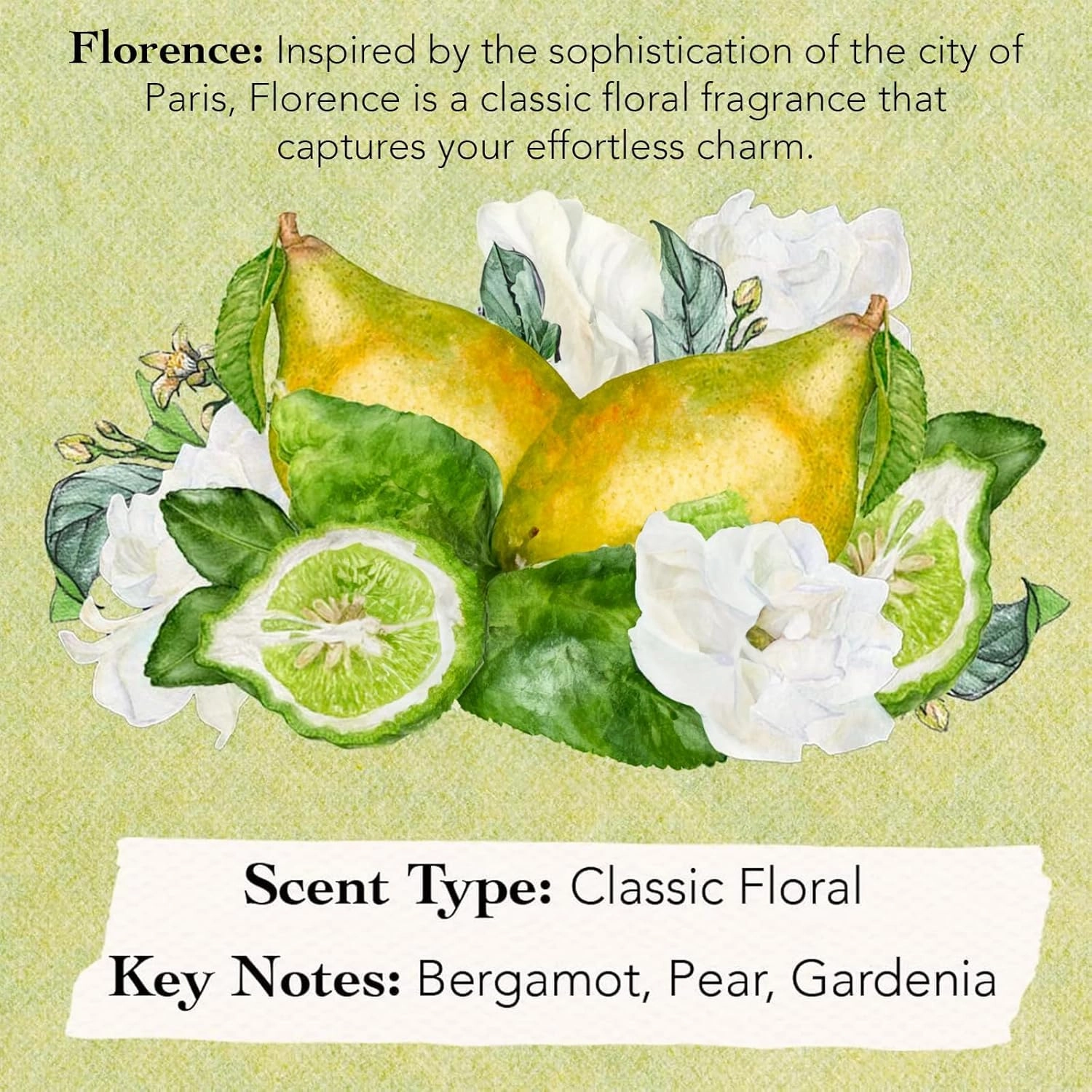 Tocca Florence Women's Perfume (50ml)   Mini Discovery Set of 8 Travel Size Perfumes