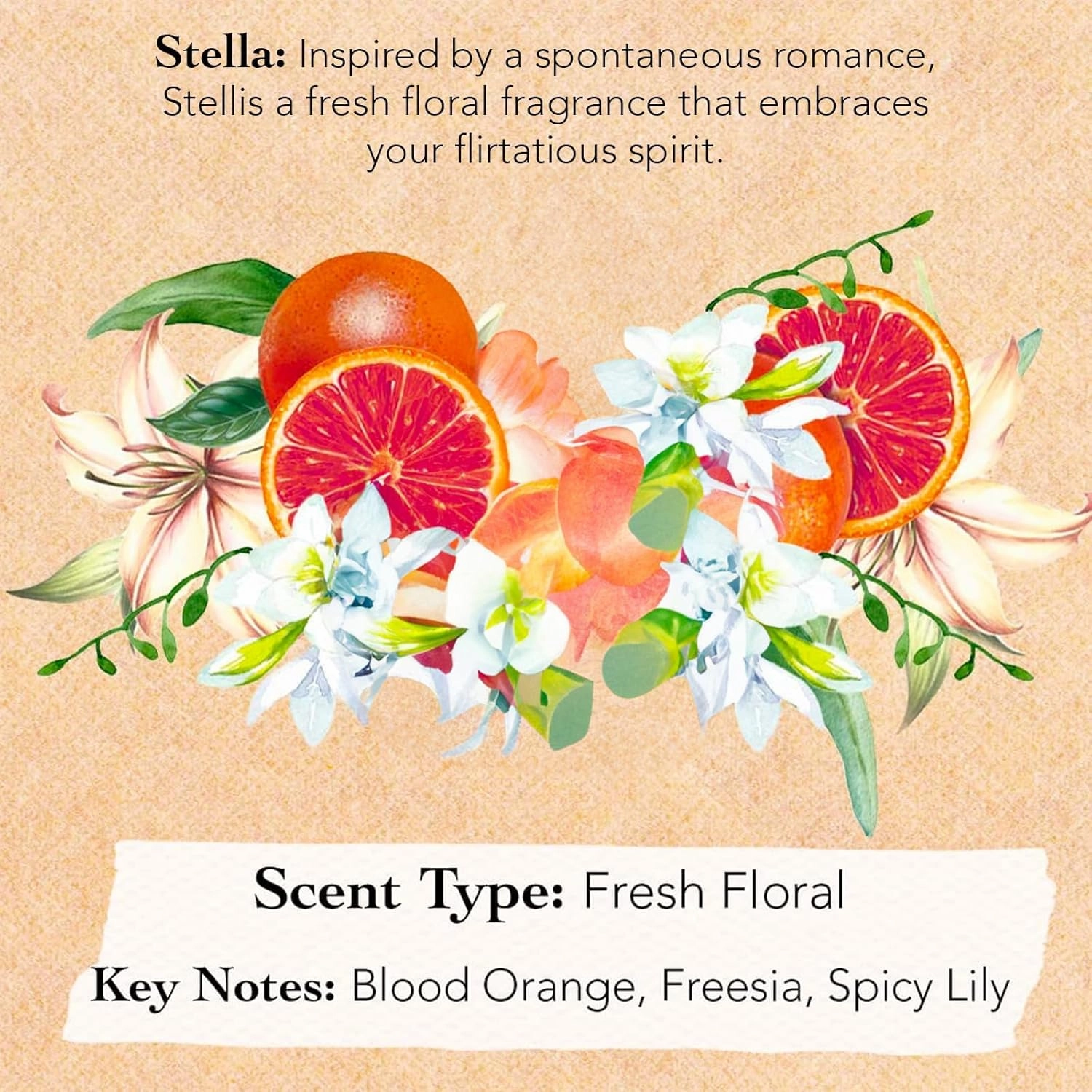 Tocca Florence Women's Perfume (50ml)   Mini Discovery Set of 8 Travel Size Perfumes