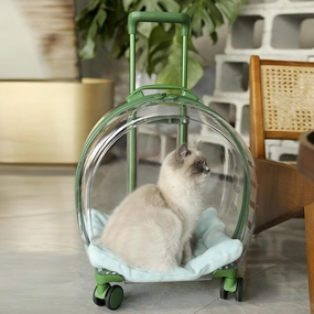 Transparent & Translucent Pet Trolley Backpack for Cats & Small Dogs