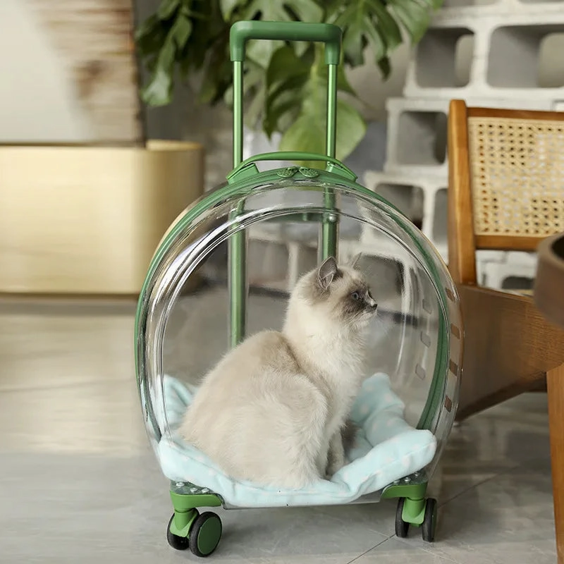 Transparent & Translucent Pet Trolley Backpack for Cats & Small Dogs