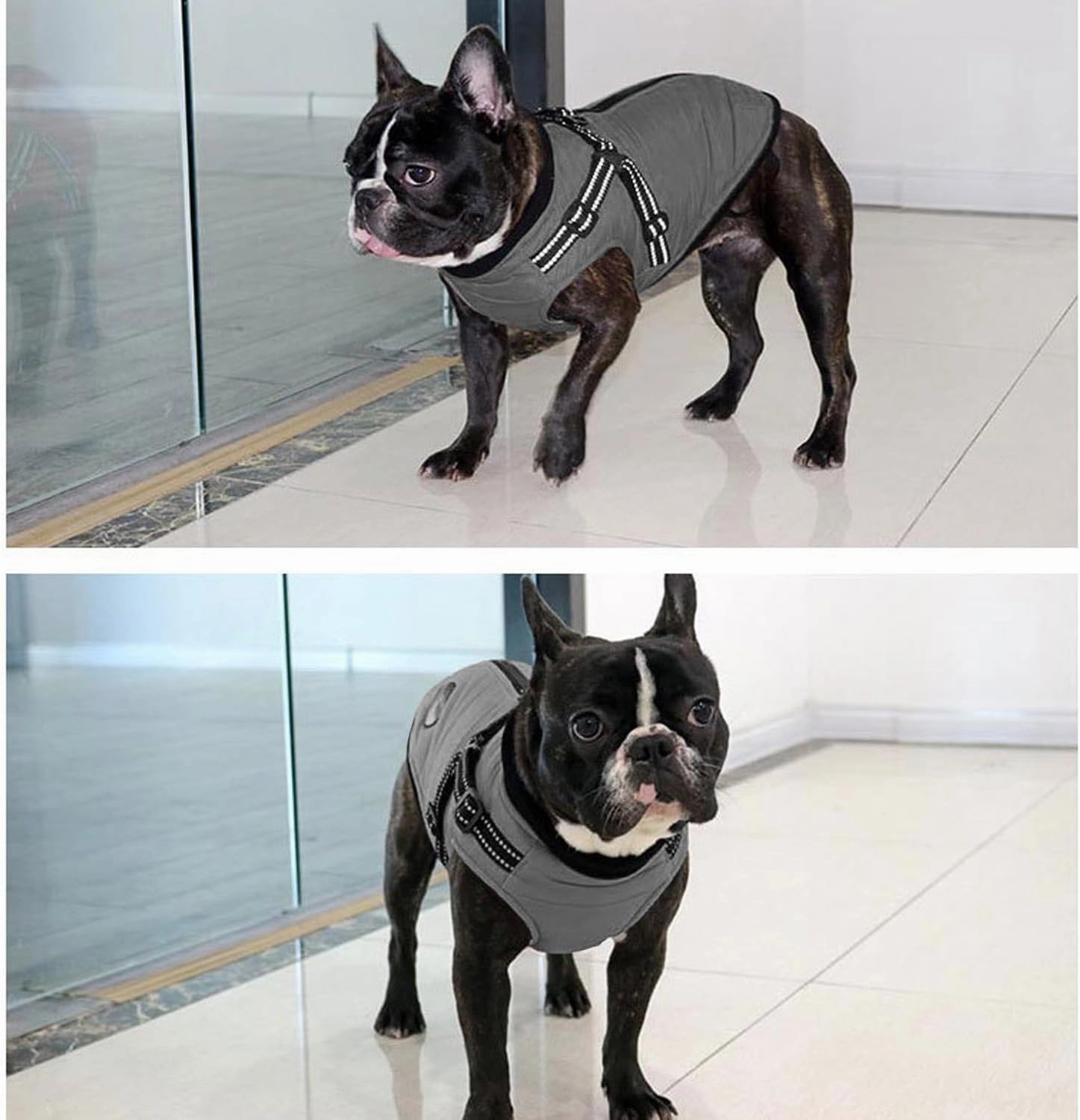 URBEST Dog Winter Coat Warm Soft Lining Dog Coat Windproof Waterproof Dog Jacket Reflective Straps Comfortable Dog Coat Fits Small, Medium and Large Dogs (Grey, Large)