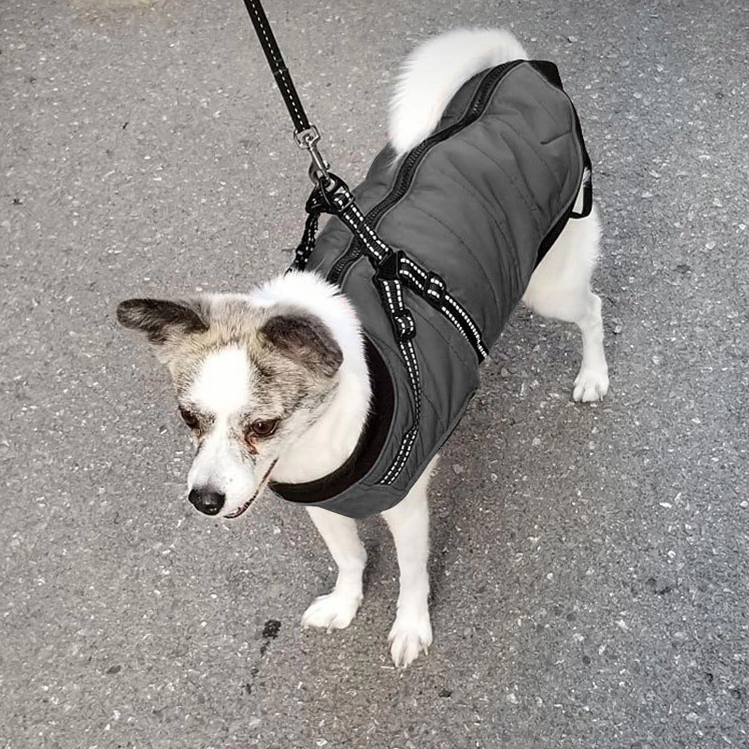 URBEST Dog Winter Coat Warm Soft Lining Dog Coat Windproof Waterproof Dog Jacket Reflective Straps Comfortable Dog Coat Fits Small, Medium and Large Dogs (Grey, Large)