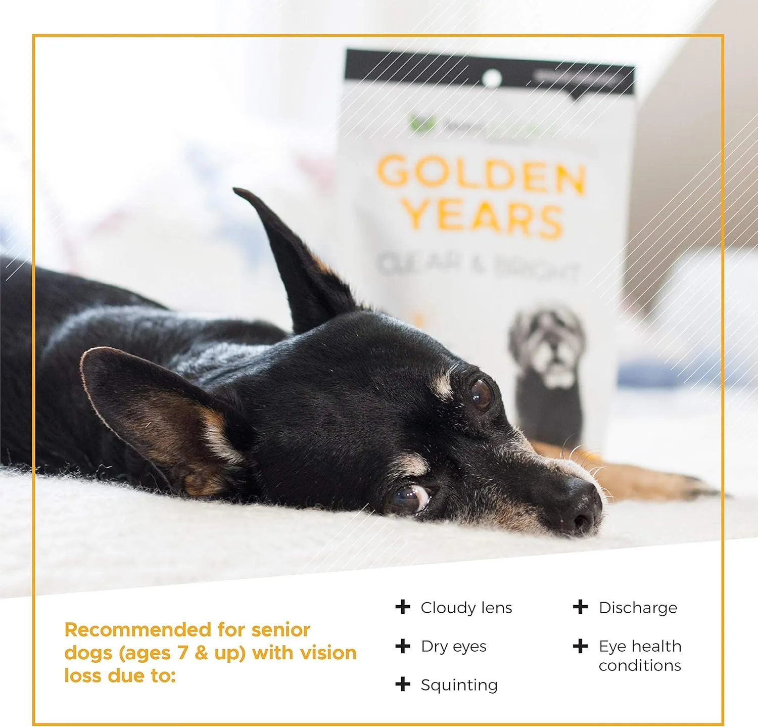 VetriScience Golden Years Clear and Bright Vision Support for Senior Dogs, Chicken Flavor, 60 Chews - Supports Cloudy and Teary Eyes and Ocular Blood Flow