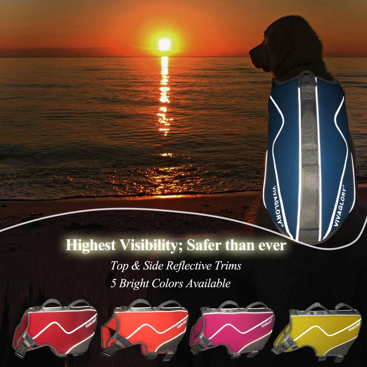 VIVAGLORY Neoprene Dog Life Jacket Dog Life Vest for Boating Hunting & Swimming, Lightweight with Leash Ring, L, Blue
