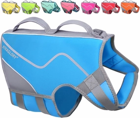 VIVAGLORY Neoprene Dog Life Jacket Dog Life Vest for Boating Hunting & Swimming, Lightweight with Leash Ring, L, Blue