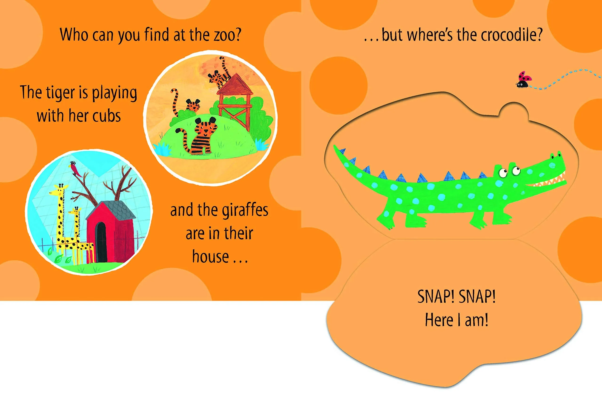 Who's at the Zoo? - Board book
