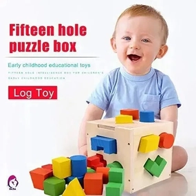 wood Puzzle Geometric Shape Blocks