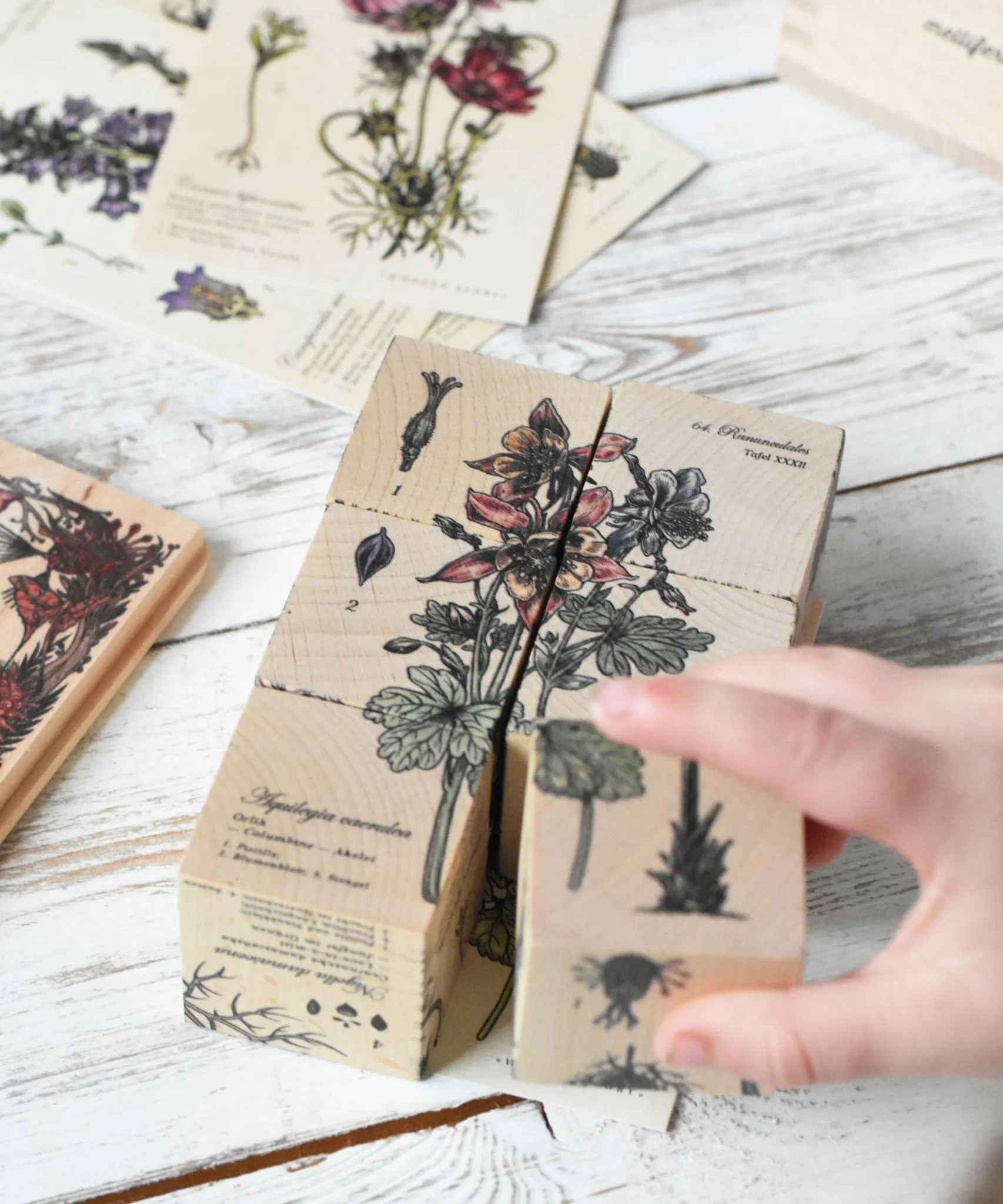 Wooden Story Puzzle Blocks - Plants