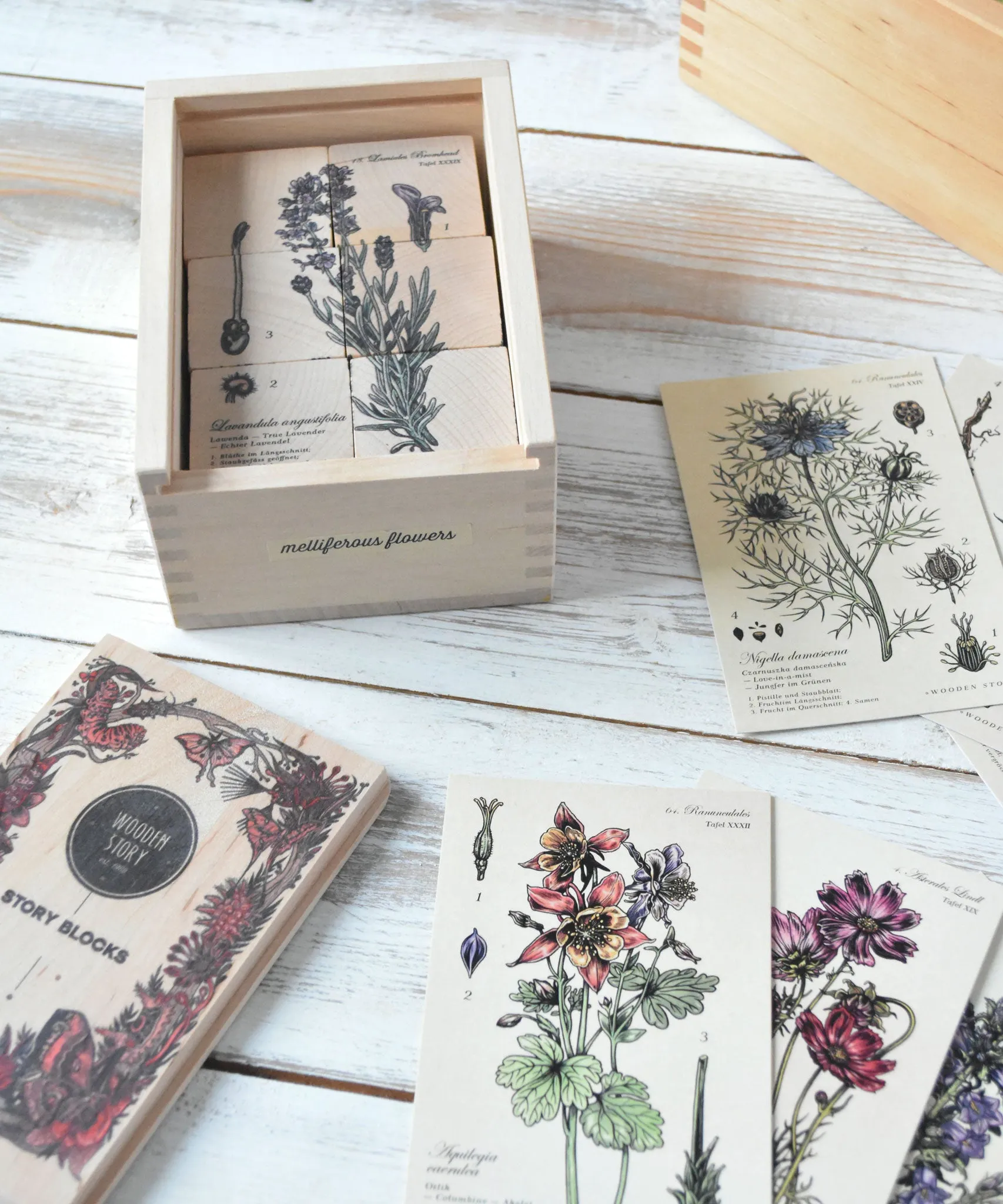 Wooden Story Puzzle Blocks - Plants