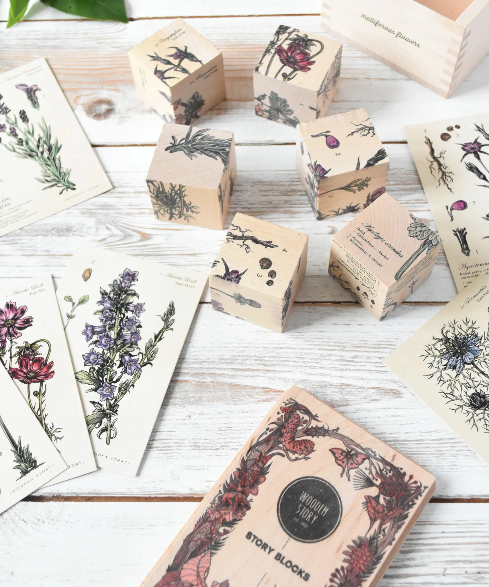 Wooden Story Puzzle Blocks - Plants