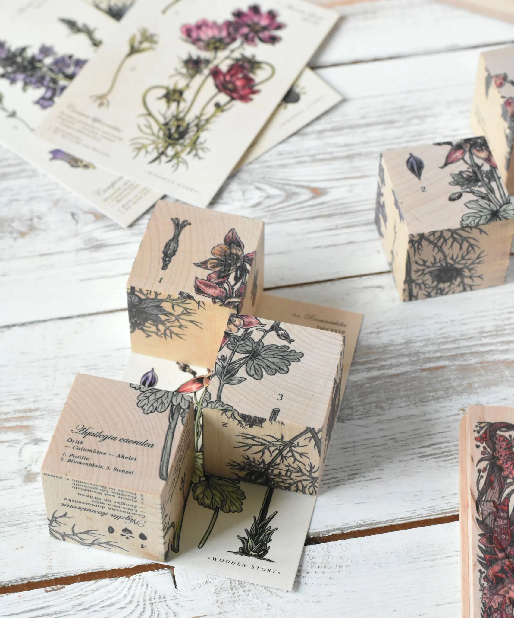 Wooden Story Puzzle Blocks - Plants
