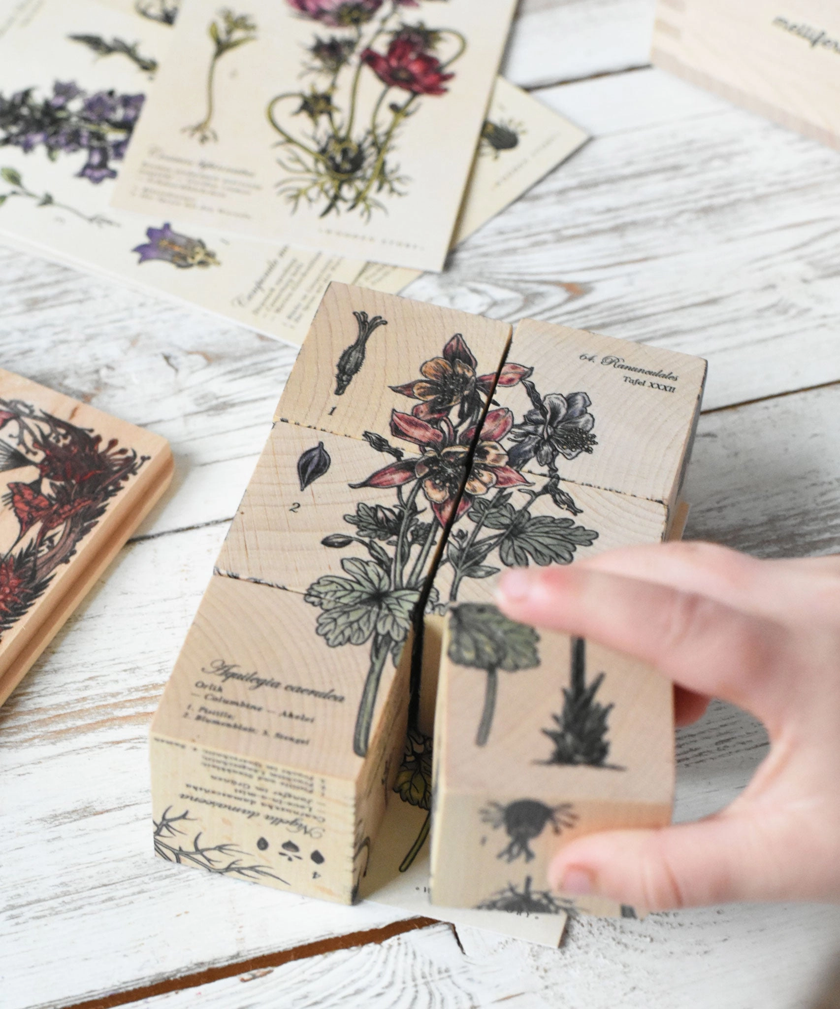 Wooden Story Puzzle Blocks - Plants