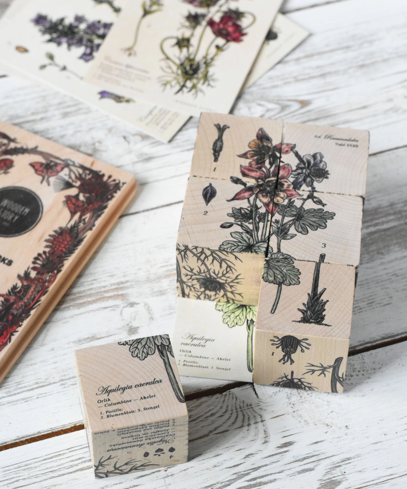 Wooden Story Puzzle Blocks - Plants