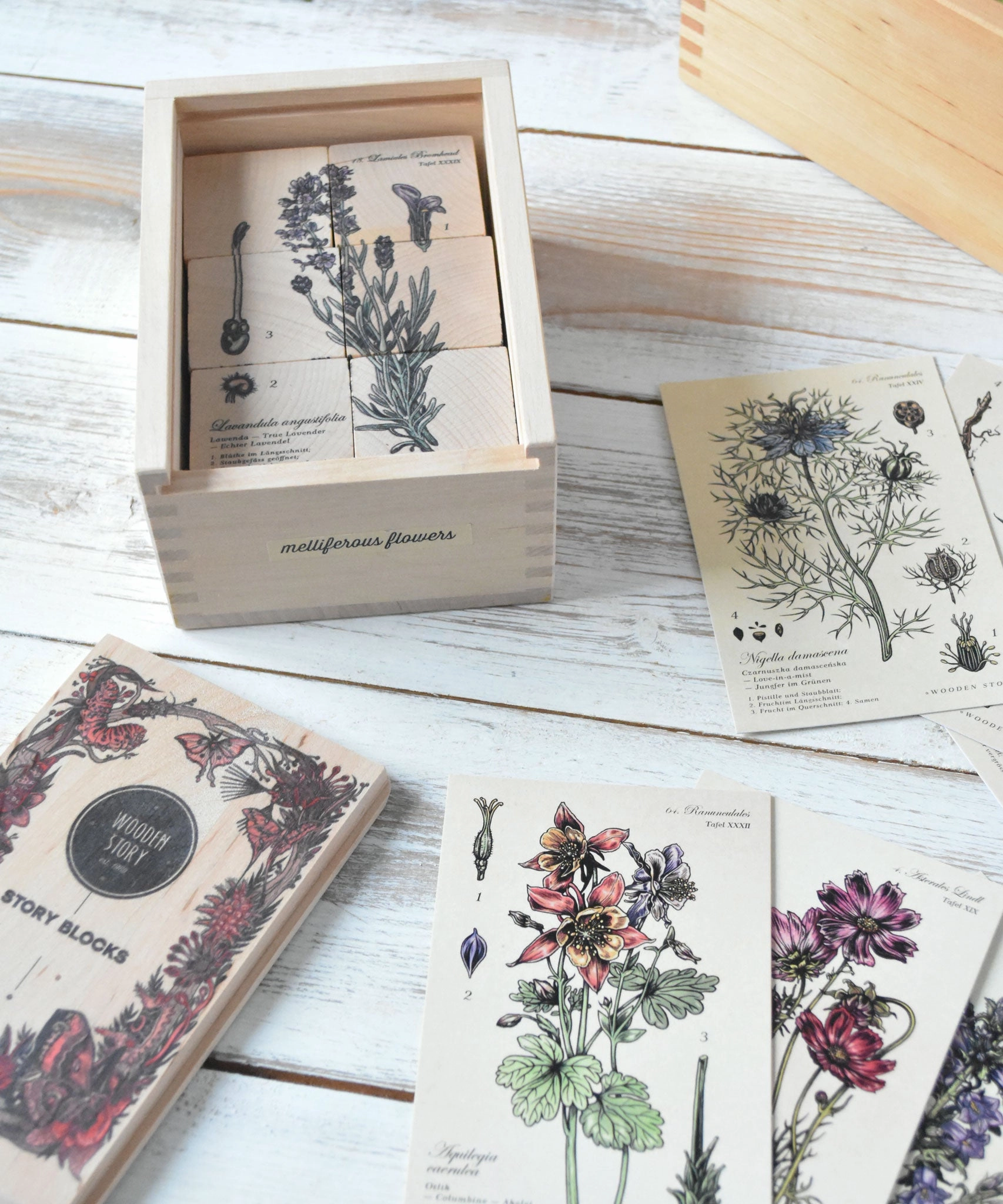 Wooden Story Puzzle Blocks - Plants