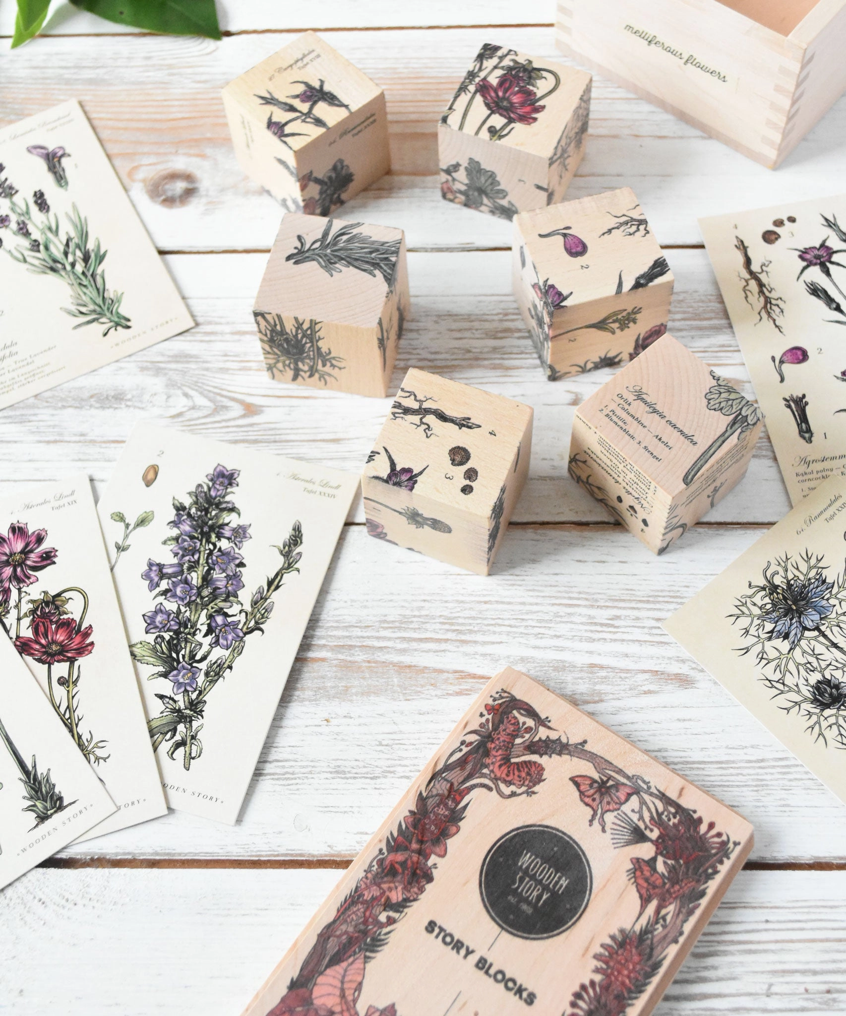 Wooden Story Puzzle Blocks - Plants