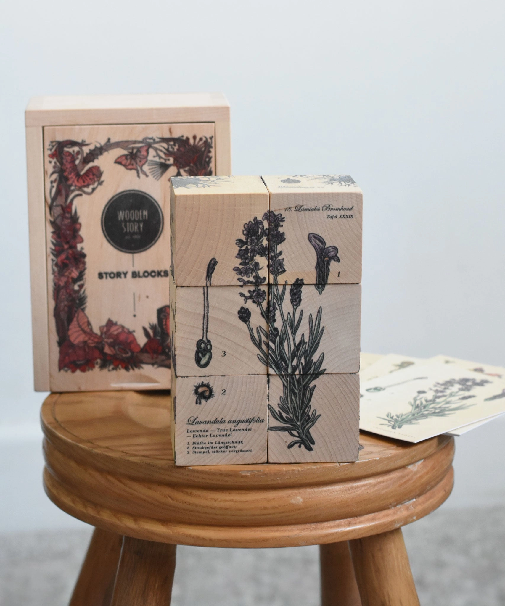 Wooden Story Puzzle Blocks - Plants
