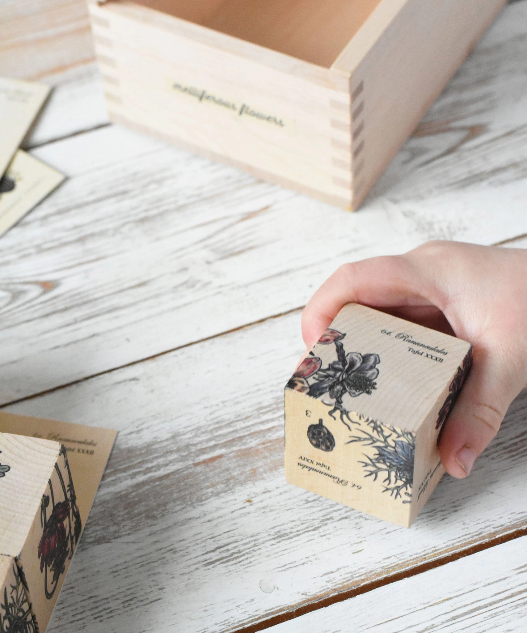 Wooden Story Puzzle Blocks - Plants