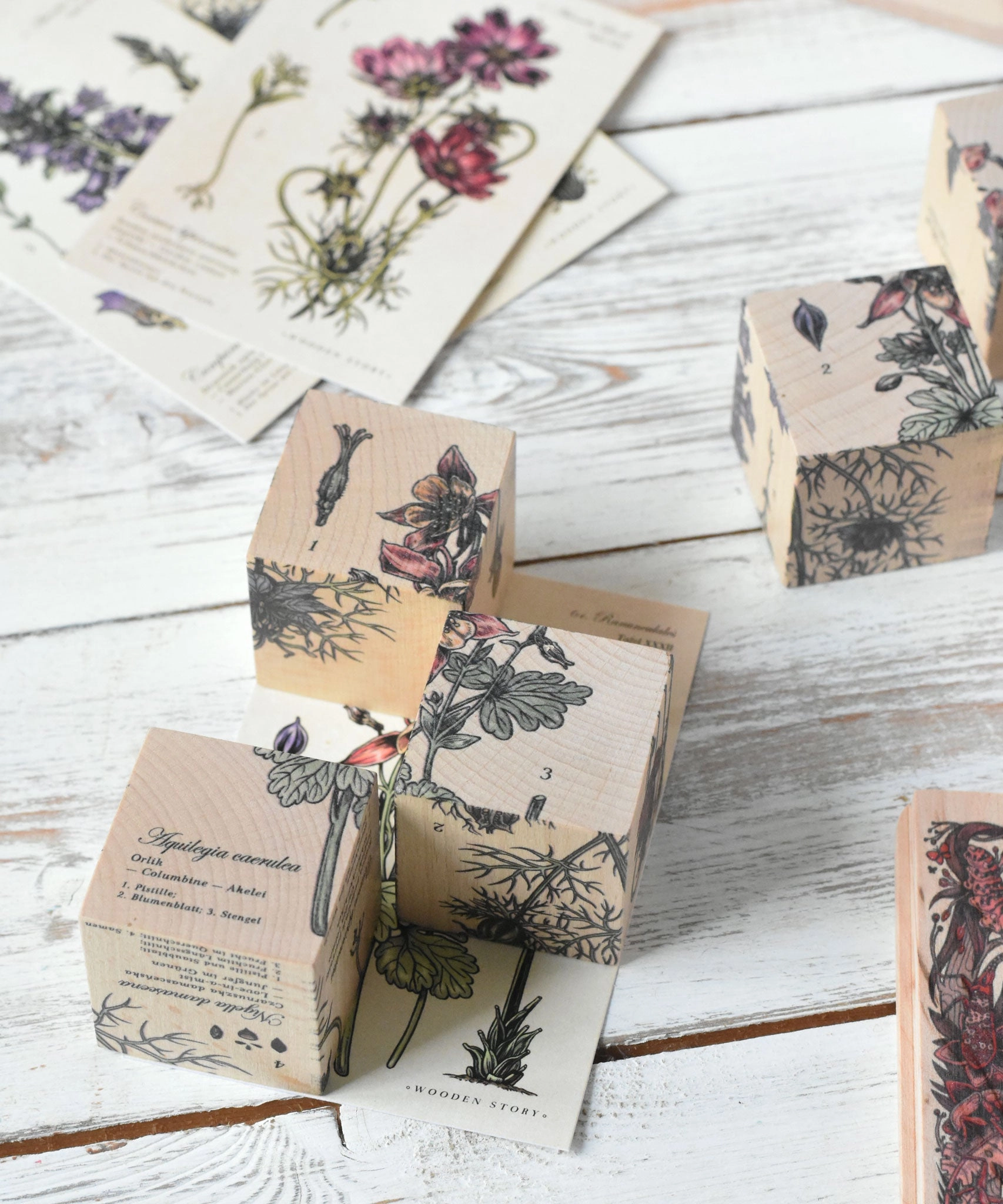 Wooden Story Puzzle Blocks - Plants