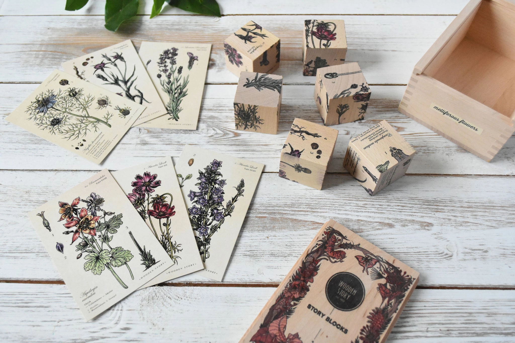 Wooden Story Puzzle Blocks - Plants