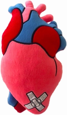 Zymise TANGDIAABBCC Heart of Hope - Stuffed Plush Anatomical Heart Pillow